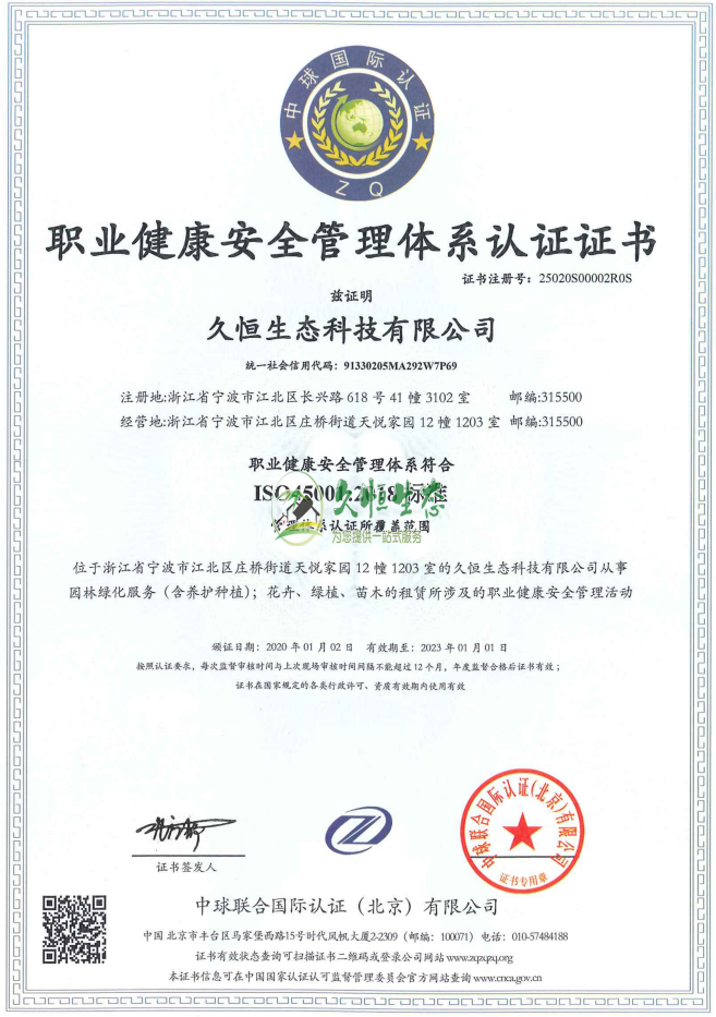 洪山职业健康安全管理体系ISO45001证书